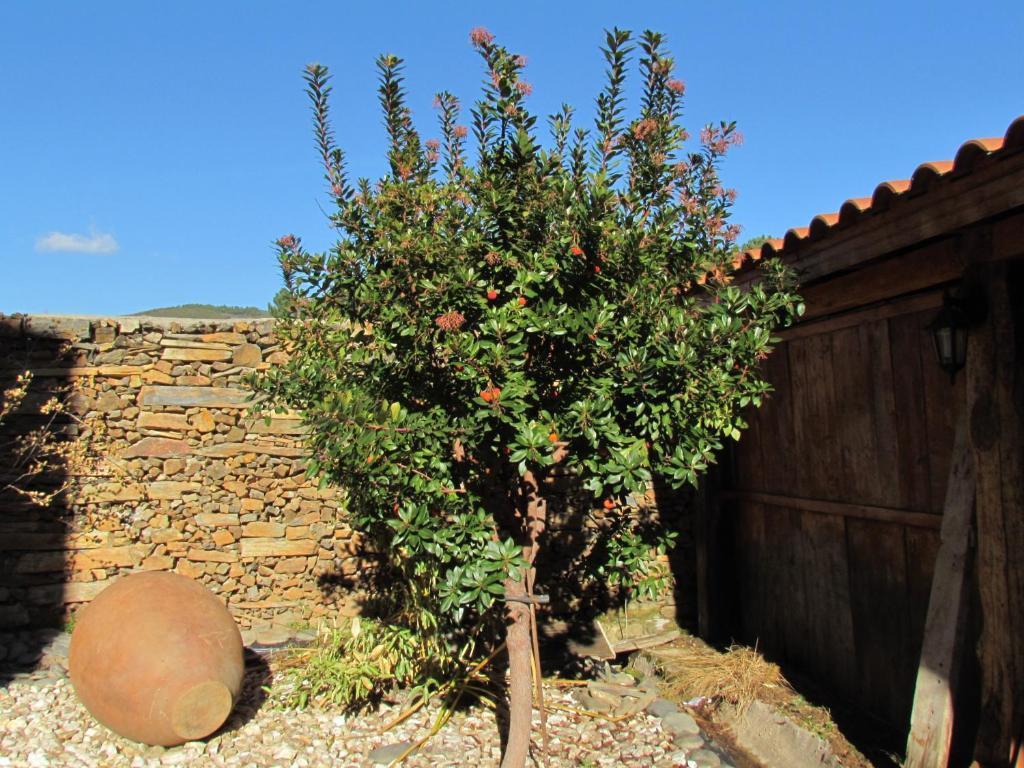 Apartamentos Rurales Azabal Ruang foto