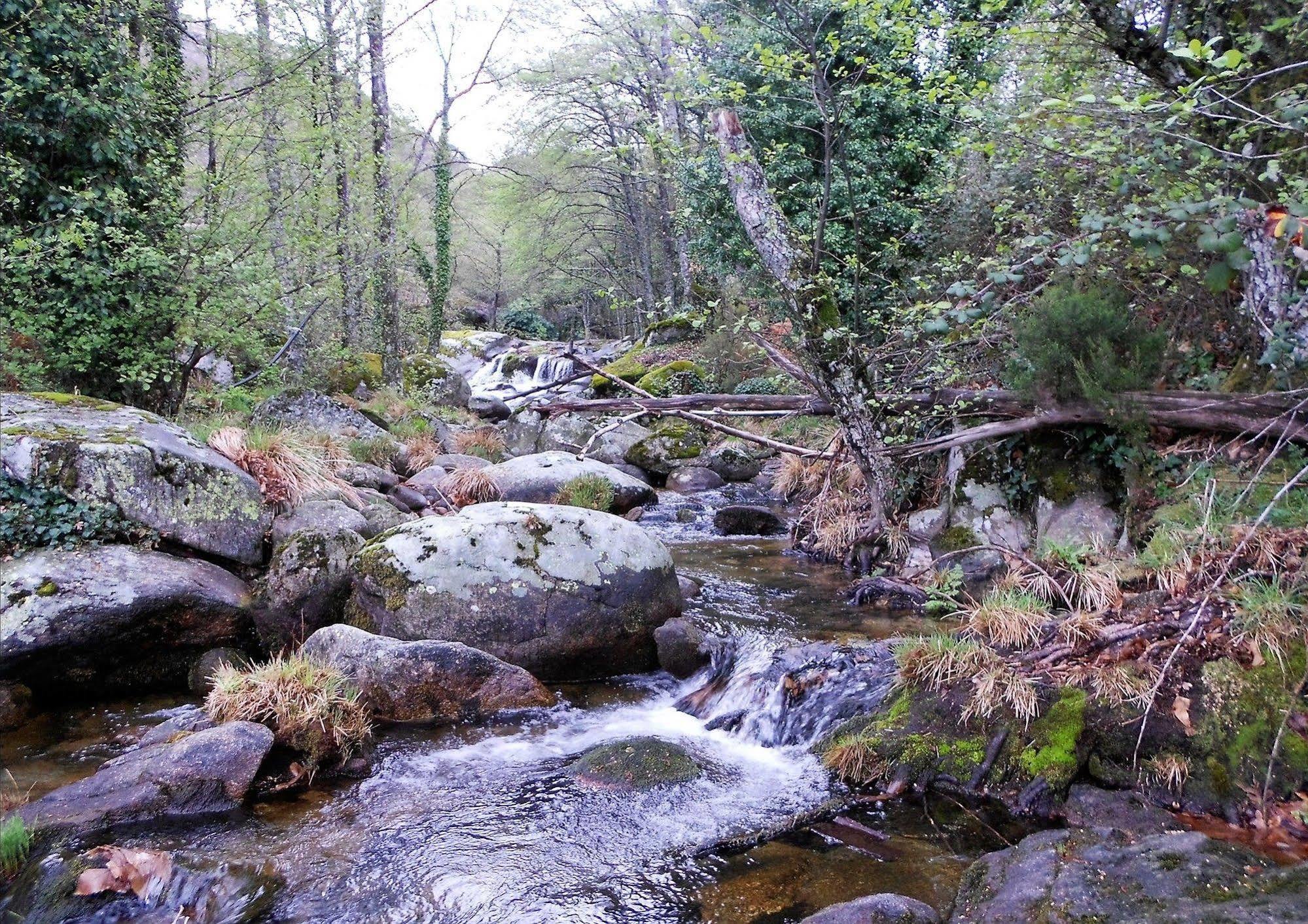 Apartamentos Rurales Azabal Bagian luar foto